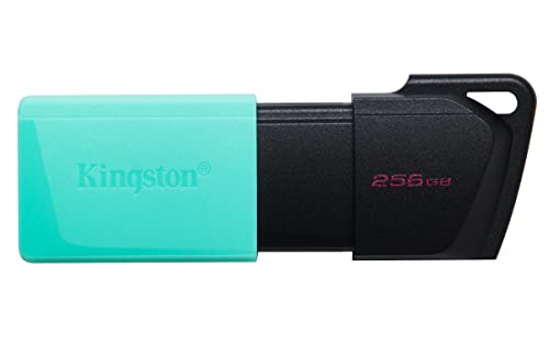 Kingston DataTraveler Exodia M Memoria flash USB 3.2 Gen 1 DTXM/256GB- with Moving Cap - (14,99€)