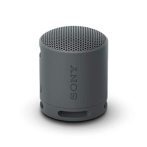 Sony Altavoz Bluetooth SRS-XB100 – (36,90€)