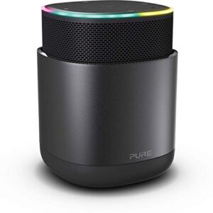Pure DiscovR Altavoces Bluetooth con Alexa Incorporado – (41,72€)