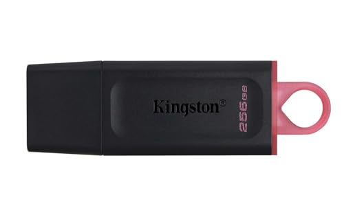 Kingston DataTraveler Exodia DTX/256GB Flash Drive USB 3.2 Gen 1 - with Protective Cap and Keyring in Multiple Colours - (17,54€)